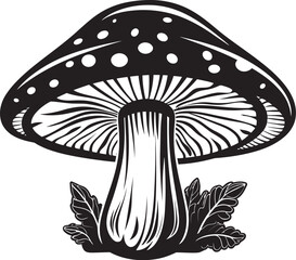 Toadstool Temptation Vector Logo Design with Mushroom Emblem Enchanted Essence Mushroom Symbol in Vector