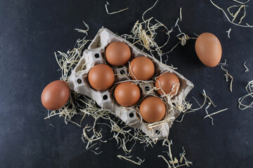 Egg in egg cardboard package made of recycled waste paper on black background. Organic chicken...