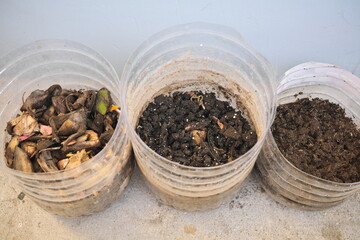 Indoor diy or do it yourself setup of composting kitchen scraps in empty plastic bottle.