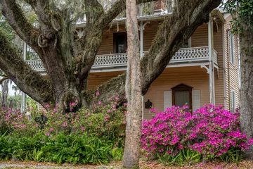 Zelfklevend Fotobehang azaleas in bloom with historic home © mark