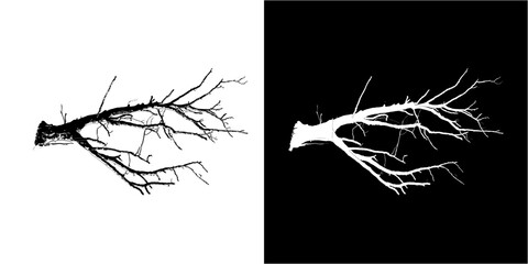 illustration of a silhouette of a dead tree