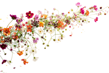 A colorful vector illustration of pink flowers and butterflies on white, perfect for spring greetings or festive decorations