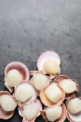 Many fresh raw scallops in shells on grey table, flat lay. Space for text
