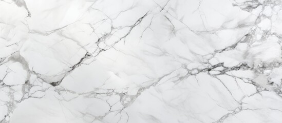 A detailed view showcasing the intricate patterns and smooth surface of a white marble texture. The fine details of the natural stone create a visually striking and elegant design.