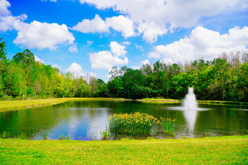 A Florida community pond with water fountain in spring	
