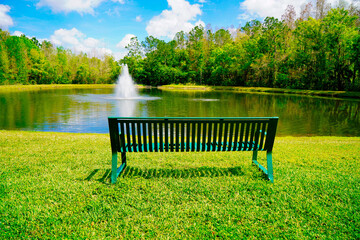 A Florida community pond in spring