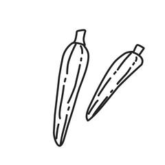 vegetables doodle vector illustration