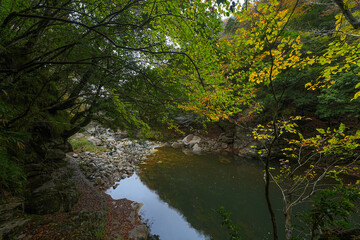 Obraz premium 奥津峡