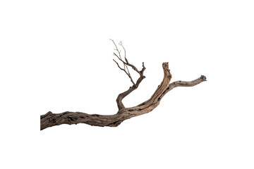 A long, thin branch with a few knots and cracks