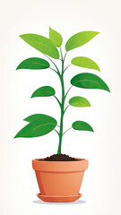 illustration of a plant, transparent background