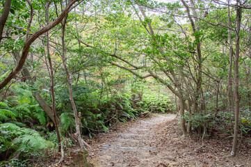 古代の山城　鬼ノ城の散策路　岡山県総社市　The mountain path at Kinojyo castle ruins in Sojya city, Okayama pref. Japan