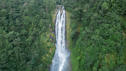 huge waterfall in the middle of the jungle of Costa Rica surrounded by vegetation in the Barbilla National Park in indigenous territory