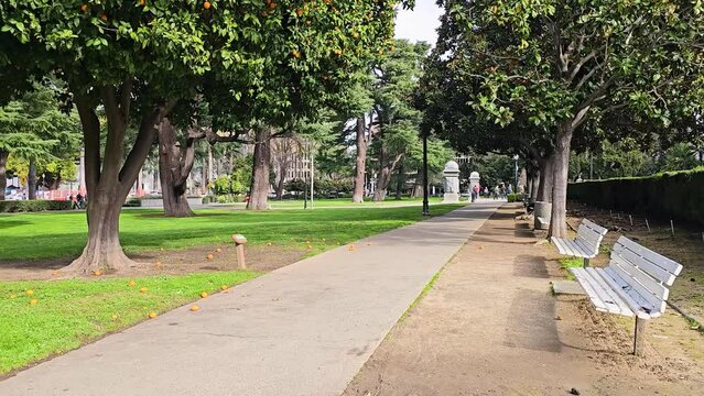 Beautiful trees, different varieties of shrubs and plants. Capitol Park. Sacramento.