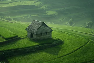 Gordijnen Aerial view of a house on a green paddy field © grey