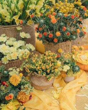 Indian Wedding Haldi