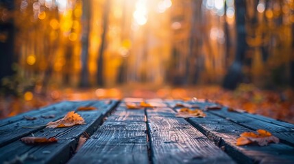 Close-up of orange autumn leaves on a worn wooden pathway with a blurred forest background.