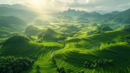 Rolgordijnen Aerial view of Rice fields on terraced of Mu Cang Chai, Vietnam © tong2530