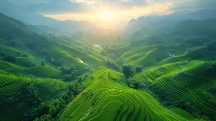 Foto op Plexiglas Mu Cang Chai Aerial view of Rice fields on terraced of Mu Cang Chai, Vietnam