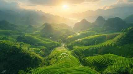 Aerial view of Rice fields on terraced of Mu Cang Chai, Vietnam