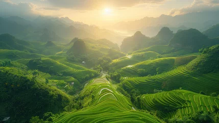 Foto op Plexiglas Aerial view of Rice fields on terraced of Mu Cang Chai, Vietnam © tong2530