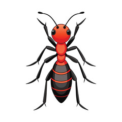 Ant illustration on white background