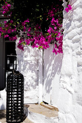 flowers in mykonos