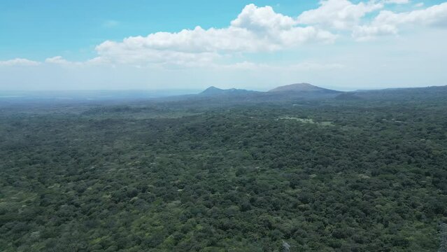 Aerial video over a jungle in Costa Rica Central America