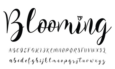 Best Alphabet Beautiful Calligraphy Signature Font lettering handwritten - obrazy, fototapety, plakaty