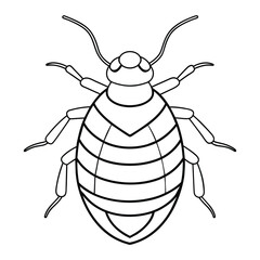 Bedbug illustration coloring page for kids