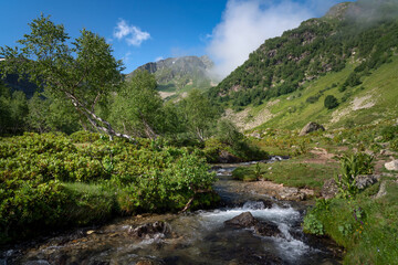 View of the Malaya Dukka River against the backdrop of the mountains of the North Caucasus on a sunny summer day, Arkhyz, Karachay-Cherkessia, Russia © Ula Ulachka
