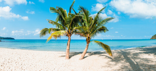 Beach and coconut trees on a tropical island