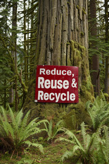 Reduce, reuse & recycle sign on a tree in a forest 
