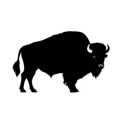 Bison Silhouette  