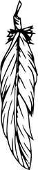 Hand drawn feather illustration on transparent background.
