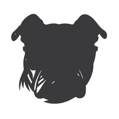 English bulldog wearing eyeglasses