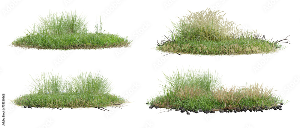 Poster collection unit green grass on transparent background 3d rendering png