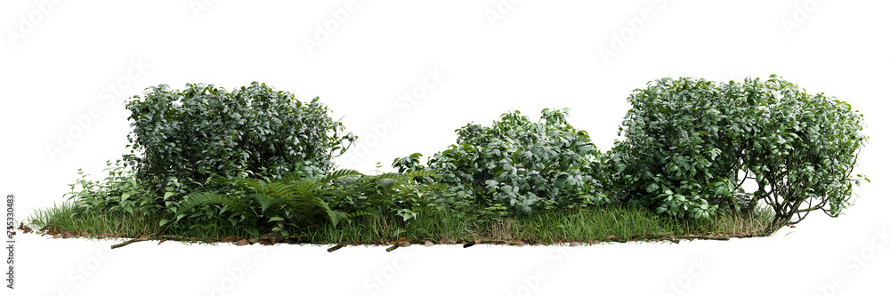 Poster unit green grass on transparent background 3d rendering png