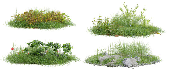 Collection unit green grass on transparent background 3d rendering png