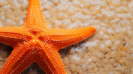 Vibrant Orange Starfish on Textured Marine Background