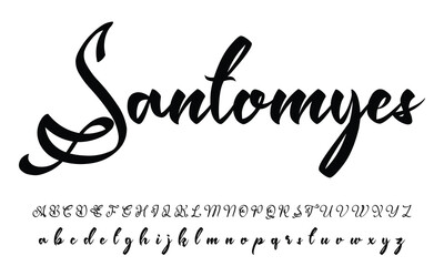 Hand drawn calligraphic vector font. Distress grunge texture. Modern script calligraphy type. ABC typography latin alphabet.