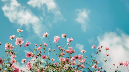 A beautiful, sun-drenched spring summer meadow. Natural colorful panoramic landscape with many wild flowers of daisies against blue sky. A frame with soft selective focus., generative ai, 