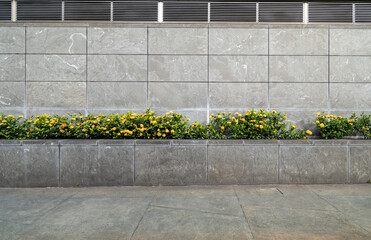 Yellow Flowers on Green Bushes Against a Charcoal Gray Wall.