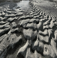 sand beach in the morning