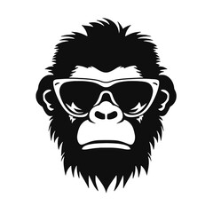 Obraz premium Monkey head with sunglasses