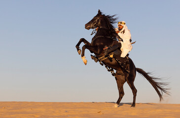 Black stallion on his hind legs with traditionally dressed Saudi man at his back