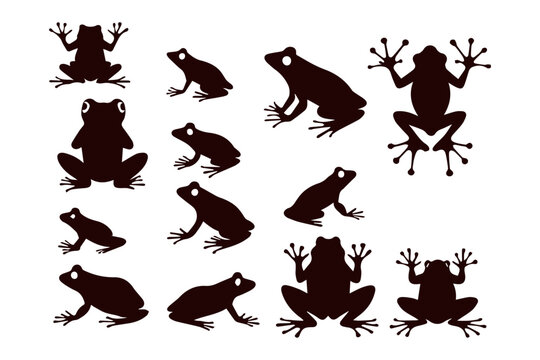 flat design frog silhouette collection
