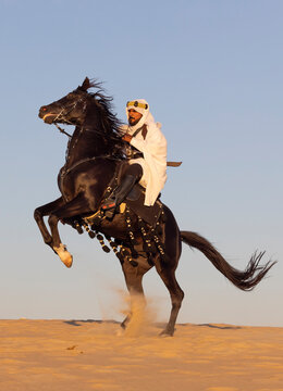 Black stallion on his hind legs with traditionally dressed Saudi man at his back