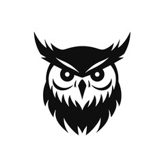 Fototapeta premium owl face Silhouette 