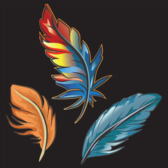Illustration of beautiful colored poultry feathers