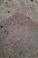 Two Shades Sand Grains